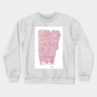 Sponge Crewneck Sweatshirt